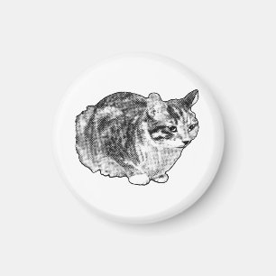 Kitchen Gallery: Tabby with Snow Dots Magnet