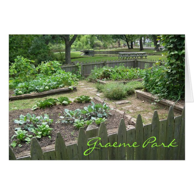 Kitchen Garden II (Front Horizontal)