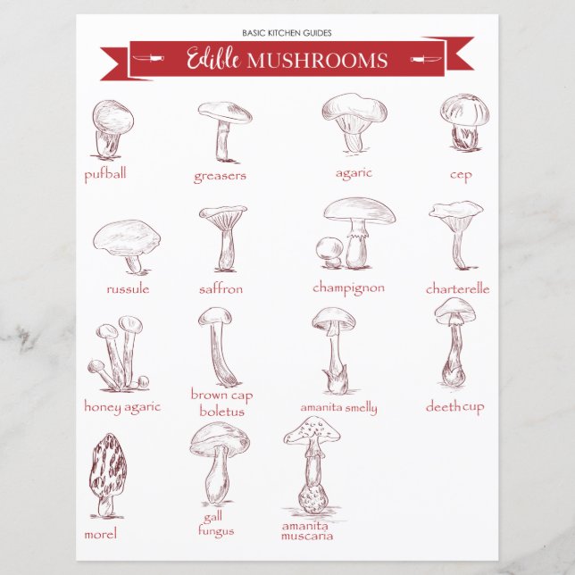 Kitchen Guide : Edible Mushrooms (Front)