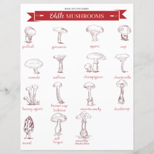 Kitchen Guide : Edible Mushrooms