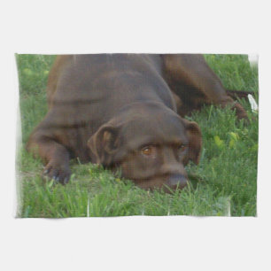 Kitchen Towel - Customised