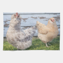 Kitchen Towel Two Chickens Farmhouse 