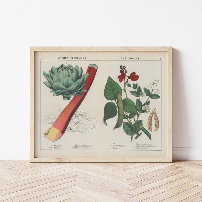 Kitchen Vegetables | Charlotte Mary Yonge Poster (Creator Uploaded)