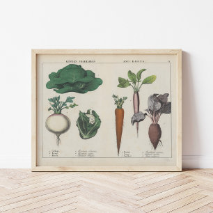 Kitchen Vegetables   Charlotte Mary Yonge Poster