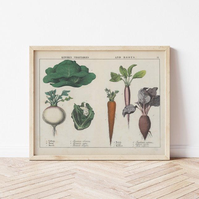 Kitchen Vegetables | Charlotte Mary Yonge Poster (Creator Uploaded)