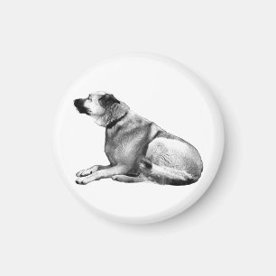 Kitchen Watcher Magnet