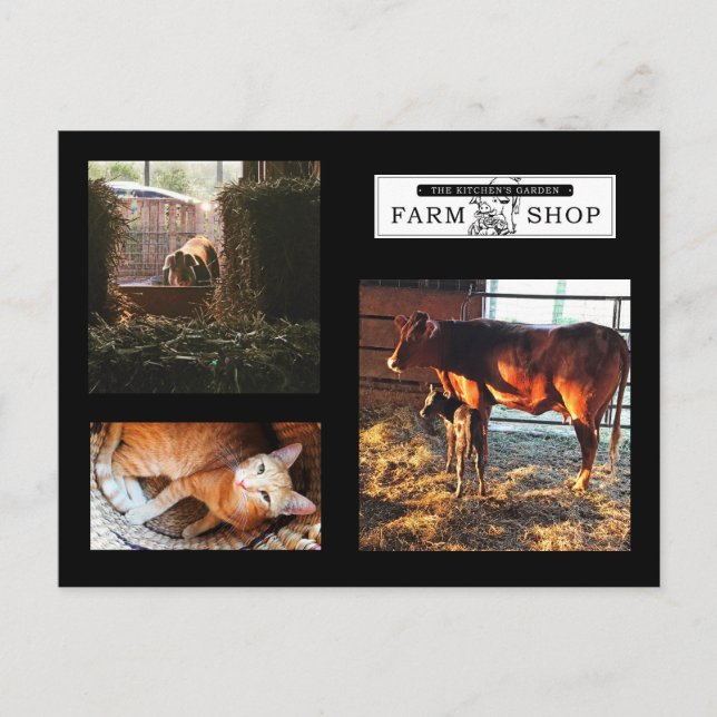 Kitchens Garden Collage Postcard (Front)