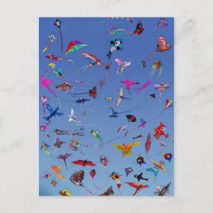 Kites Kites Kites In the Sky Postcard
