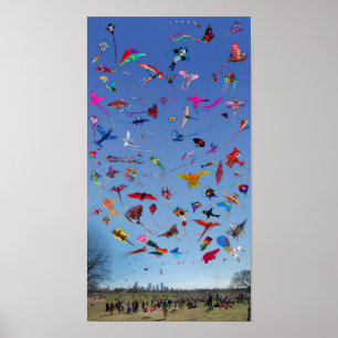Kites Kites Kites In the Sky Poster