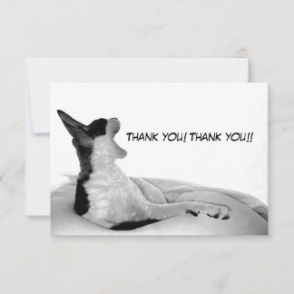 Kitsa Diva: Queen of Her doman Thank You Card