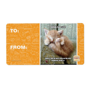 Kitteh rule #231