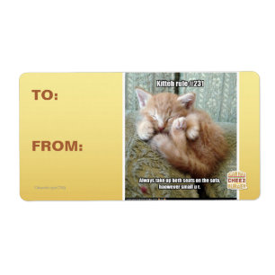 Kitteh rule #231