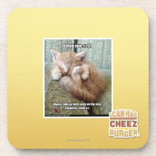 Kitteh rule #231 coaster