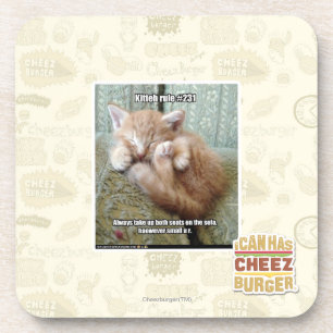 Kitteh rule #231 coaster
