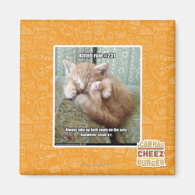 Kitteh rule #231 magnet (Front)