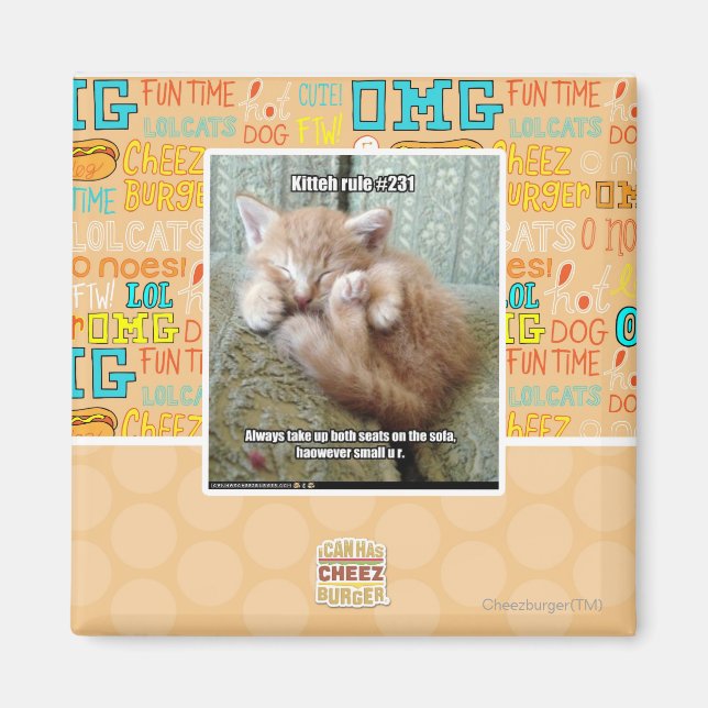 Kitteh rule #231 magnet (Front)