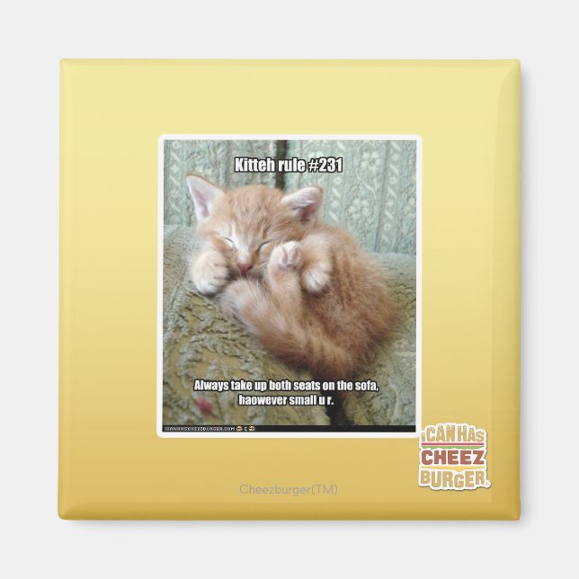 Kitteh rule #231 magnet (Front)