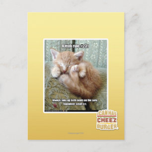 Kitteh rule #231 postcard