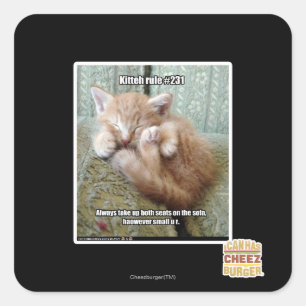 Kitteh rule #231 square sticker