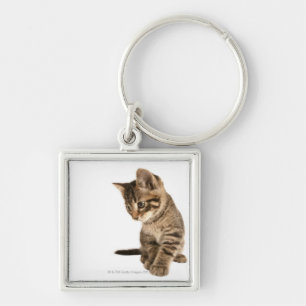 Kitten 2 key ring