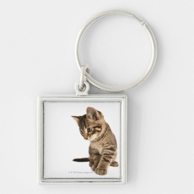 Kitten 2 key ring (Front)