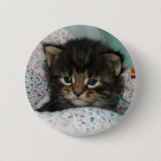 Kitten 6 Cm Round Badge