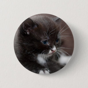Kitten 6 Cm Round Badge