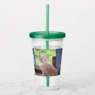 Kitten Acrylic Tumbler