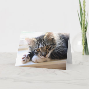 Kitten All About You Mother's Day Card
