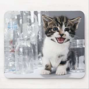 Kitten amongst recycled bottles and jars mouse pad
