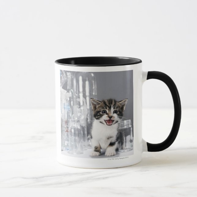 Kitten amongst recycled bottles and jars mug (Right)