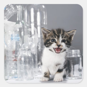 Kitten amongst recycled bottles and jars square sticker