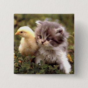 Kitten and Baby Chick 15 Cm Square Badge