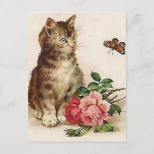 Kitten and Butterfly Postcard