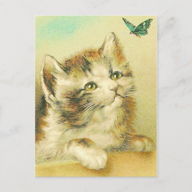 Kitten And Butterfly Vintage Postcard (Front)