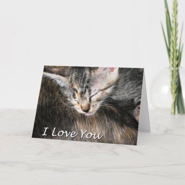Kitten and Cat I Love You Card (Front)