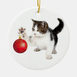 Kitten and Christmas ball Ceramic Tree Decoration