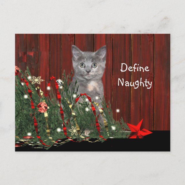 Kitten and dead Christmas tree Holiday Postcard (Front)