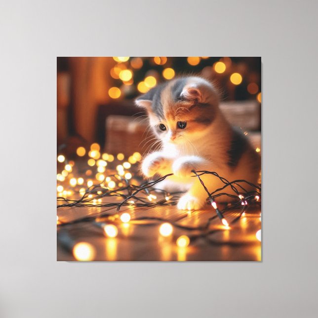 kitten and lights canvas print (Front)