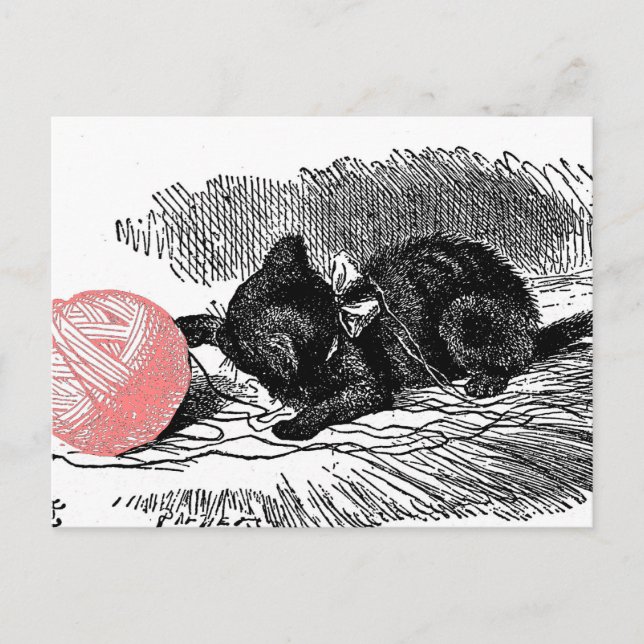 Kitten and Pink Yarn Postcard (Front)