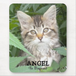 KITTEN = ANGEL, (In Disguise) Mouse Pad
