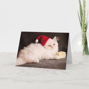 Kitten as Santa Holiday Card