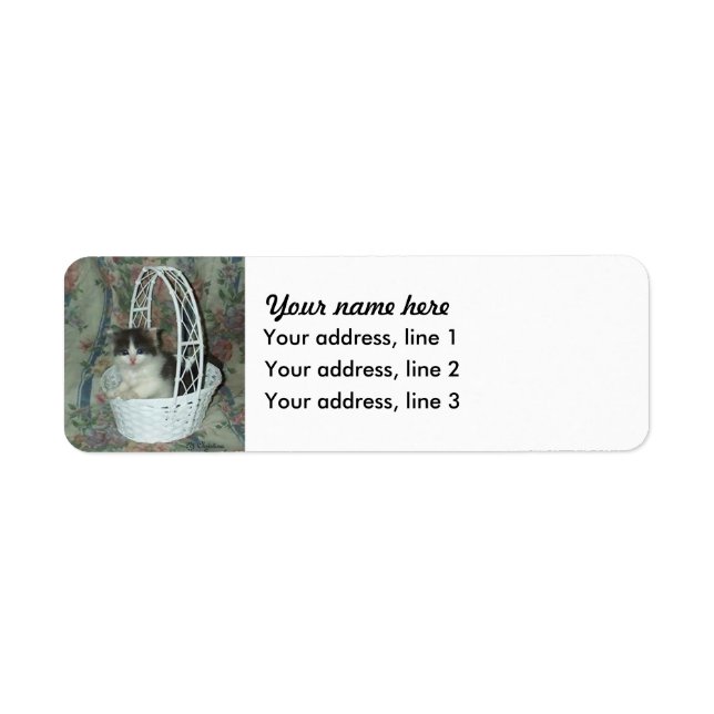Kitten Basket Address labels (Front)