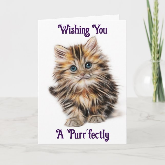 Kitten Birthday Greeting Card (Front)
