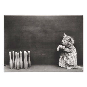 Kitten Bowling Photo Print
