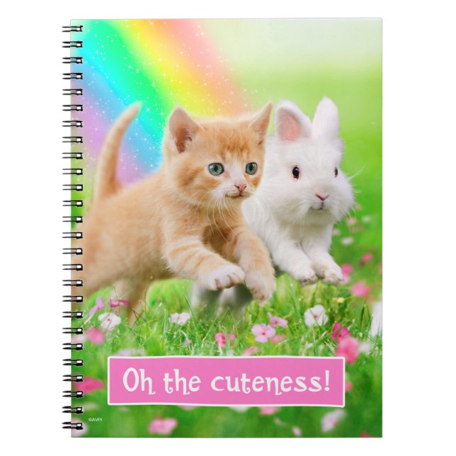 Kitten & Bunny with Rainbow Spiral Notebook (Front)