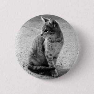 Kitten Button