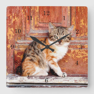 Kitten by Barn Square Wall Clock