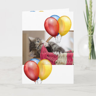 Kitten  card