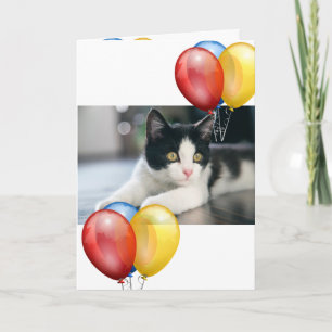 Kitten card